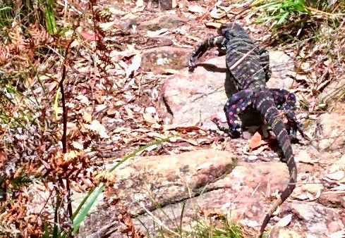 unbenannte Fotosession 20131214 0995